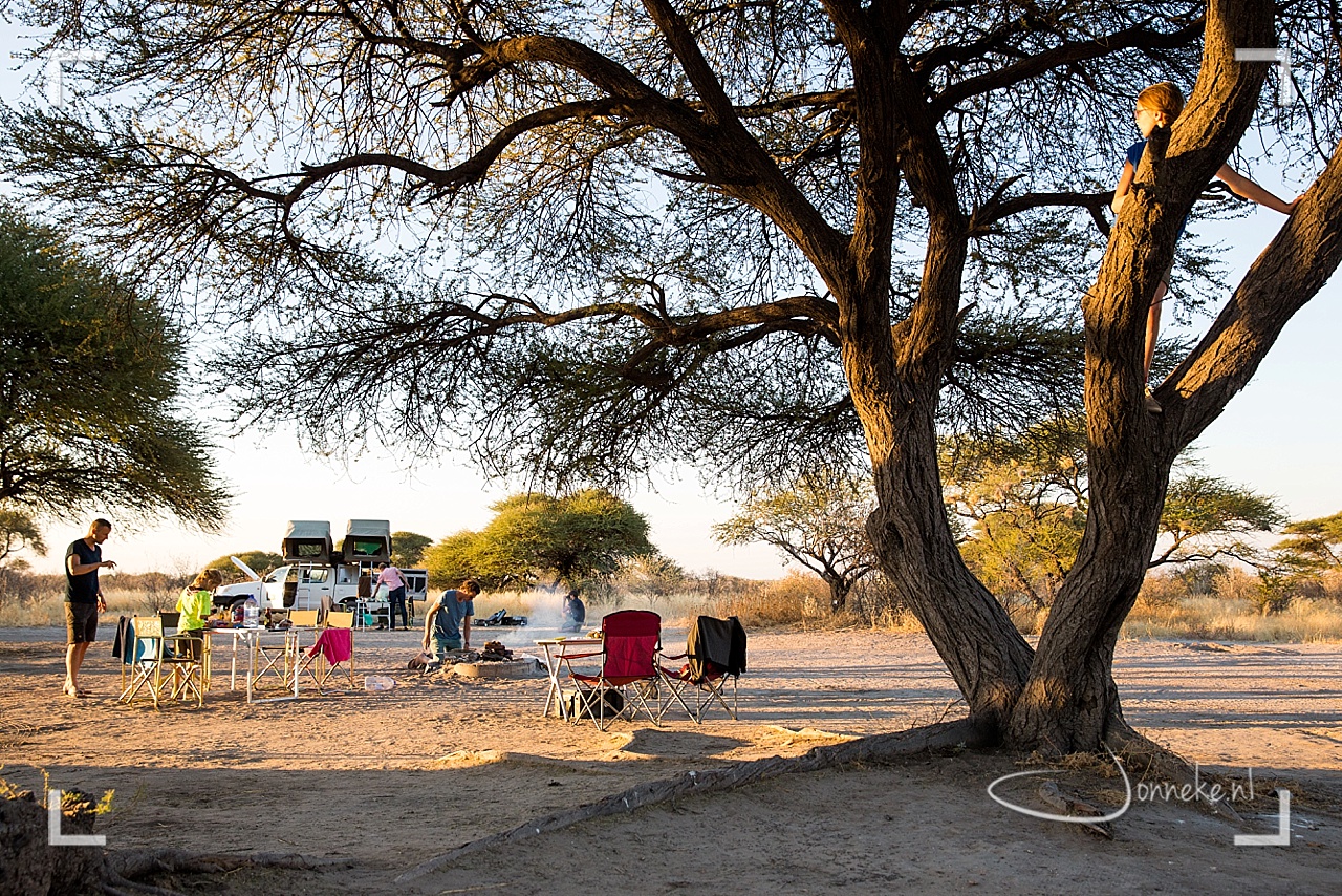 Botswana: kamperen in de bush