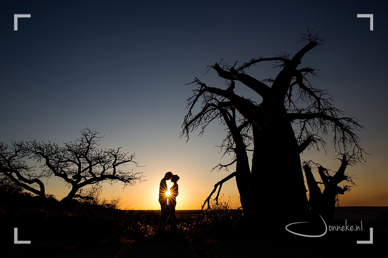 Silhouets of Africa
