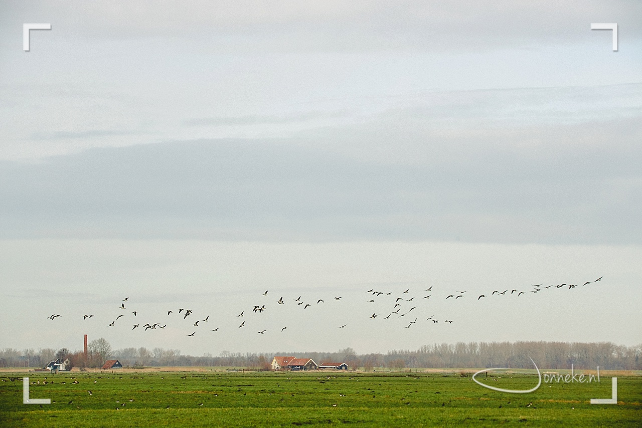 Inspirerende workshops: wat kies jij?