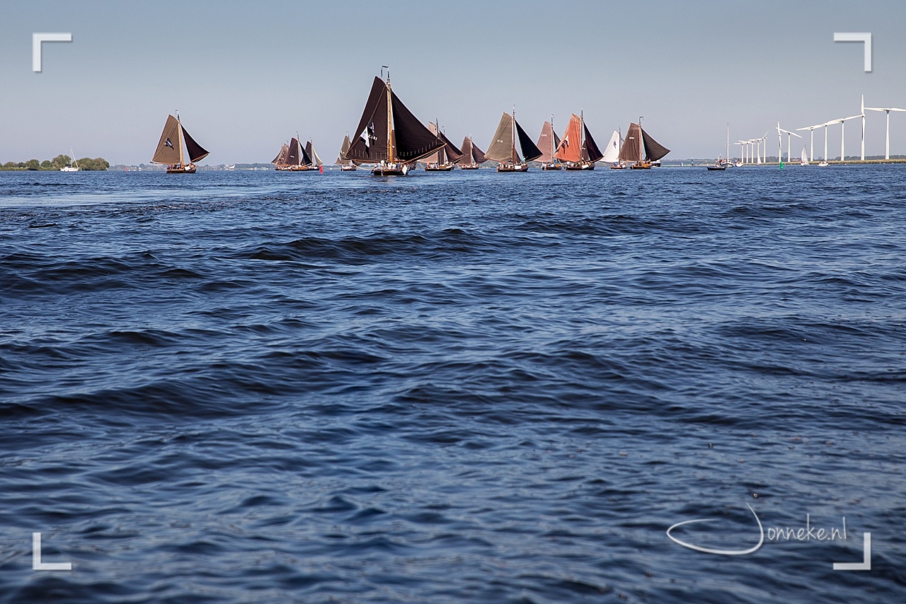 Zuidwal: spel van de wind