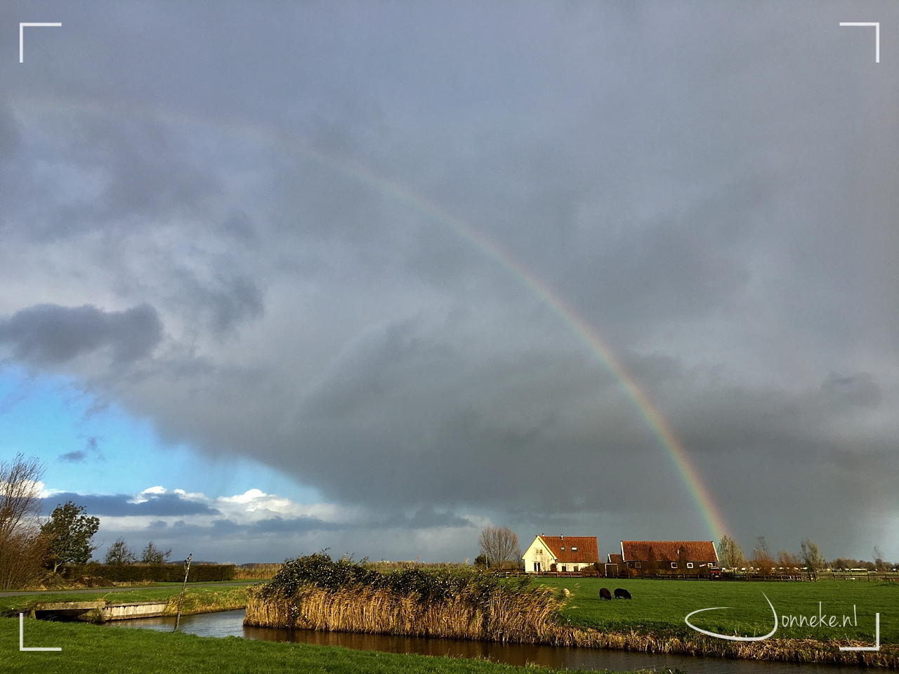 Een jaar in de polder