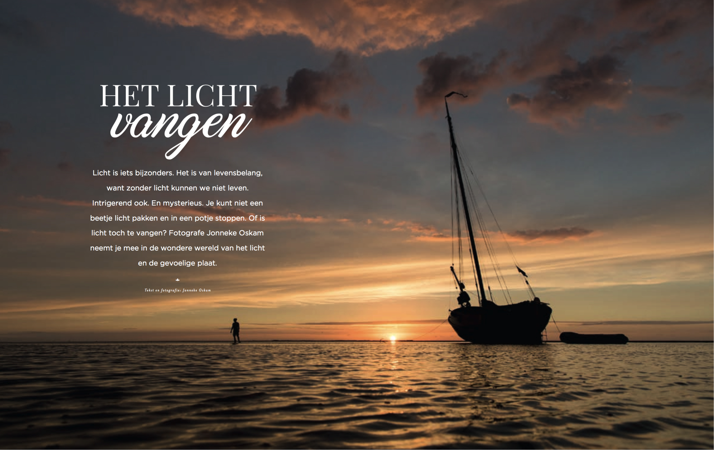 Puur - licht (give-away)